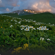 Краснодарский край